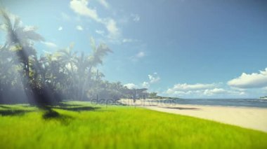 Küçük çocuk ile tropikal bir plajda uçak oyuncak