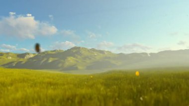 Yeşil çayır üzerinde çalışan kadın sabah