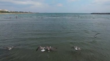 Constanta plaj ve Karadeniz, Romanya Hava görünümünü