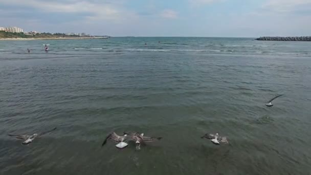 A légi felvétel a strandtól Constanta és a Fekete-tenger, Románia — Stock videók