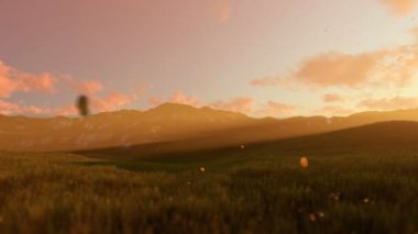 Yeşil çayır, sabah sis çalışan kadın