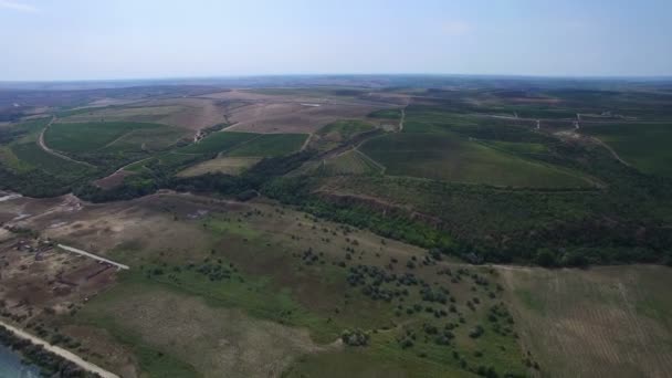 Danube Nehri üzüm bağları, havadan görünümü — Stok video