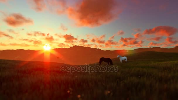 Dwa konie na zielonej łące, piękny zachód słońca — Wideo stockowe