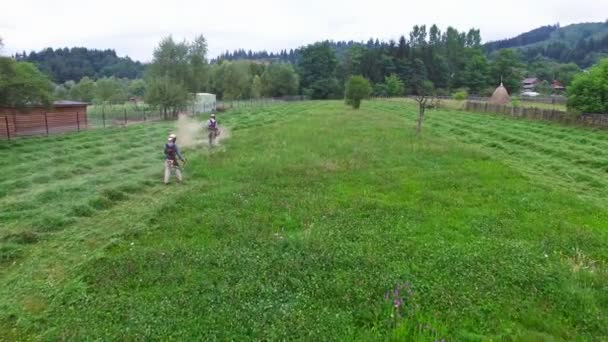 Flyg över män slåtter hö, gröna skogen kullar i bakgrunden — Stockvideo