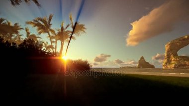 Tropik ada palmiye ağaçları ve kayaları, gündoğumu, okyanusu ile kaydırma