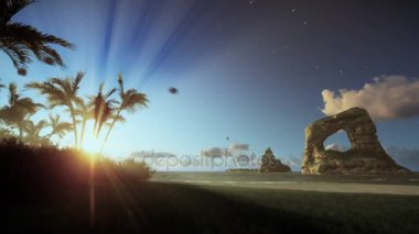 Palmiye ağaçları ve kayaları Okyanusu, sabah sis, tropik ada eğimli