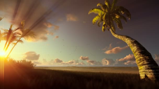 Tropiskt landskap palmer som blåser i vinden vid soluppgången — Stockvideo