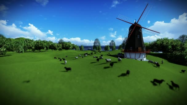 羊と緑の草原の風車 — ストック動画