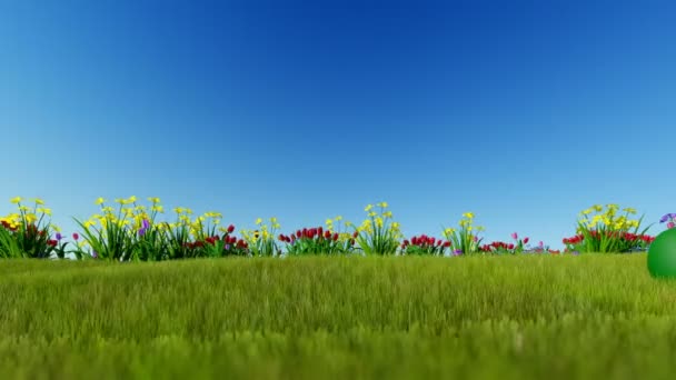 Pascua huevos ongreen Prado sobre cielo azul, panorámica — Vídeos de Stock