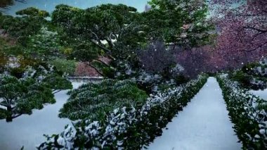 Kışın, güneş parlıyor ağaçlar, günbatımı, tilt arasında Japon bahçesi
