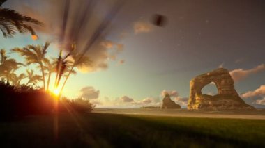 Palmiye ağaçları ve kayaları Okyanusu, sabah sis ile tropik ada