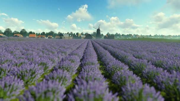 Villaggio di lavanda francese con vecchio mulino a vento contro il cielo blu, inclinazione — Video Stock