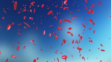 Gül yaprakları uçan, bulanık gökyüzü karşı