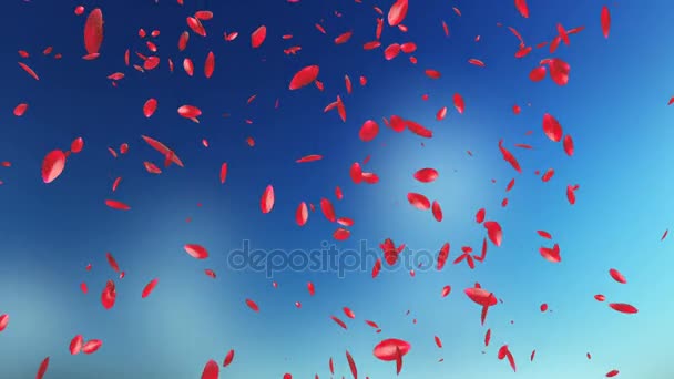 Роза лепестки полет, против размыто неба — стоковое видео