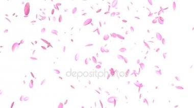 Pembe yaprakları uçan, beyaz karşı
