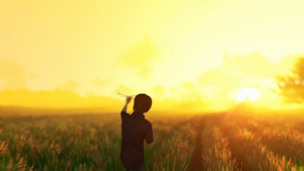 Jongetje uitgevoerd op tarwe gras gewas, oude molen op de achtergrond bij zonsopgang, zonnige mist — Stockvideo