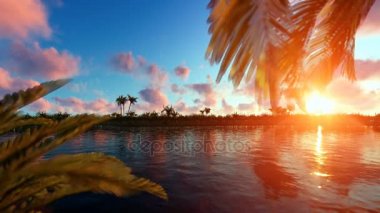 Avuç içi Adası'nda geçen uçak ile günbatımı