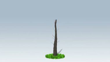 Doları ağaç büyüyen, rüzgar estigi