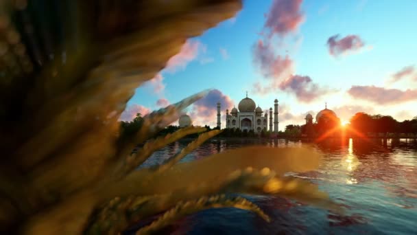 Taj Mahal, vista desde el río Yamuna, aviones pasando contra hermoso amanecer, panorámica — Vídeos de Stock