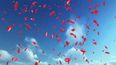 Gül yaprakları uçan, mavi gökyüzü karşı