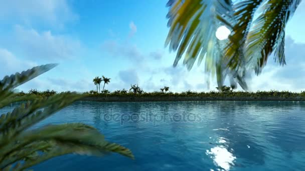 Острова пальм и самолетов, проходя против голубого неба — стоковое видео