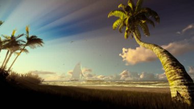 Tropik ada, esen rüzgar ve yat yelken, gündoğumu palmiye ağaçları