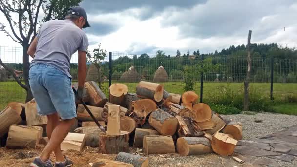 Man Chopping Wood Time Lapse — Stock Video