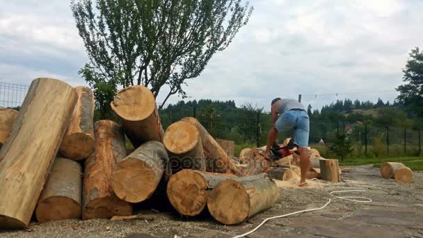 Uomo di segare tronchi di legno, lasso di tempo — Video Stock