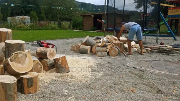 Muž sekání dřeva sekerou, timelapse — Stock video
