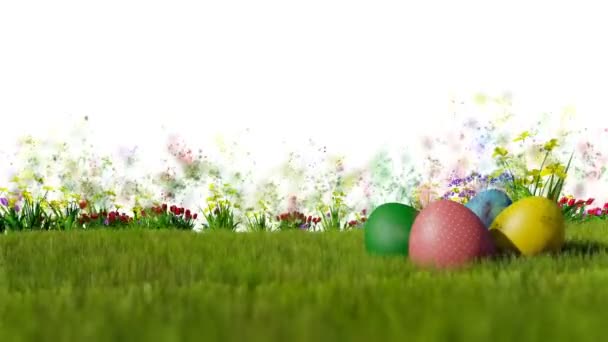 Ovos de Páscoa em Prado verde com partículas voando contra branco — Vídeo de Stock