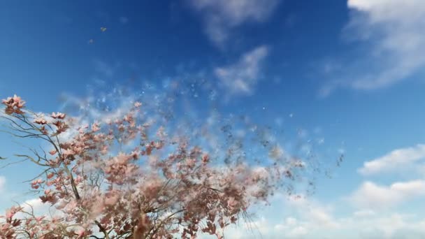 Квіти магнолії та літаючі голуби на блакитному небі, частинки літають — стокове відео
