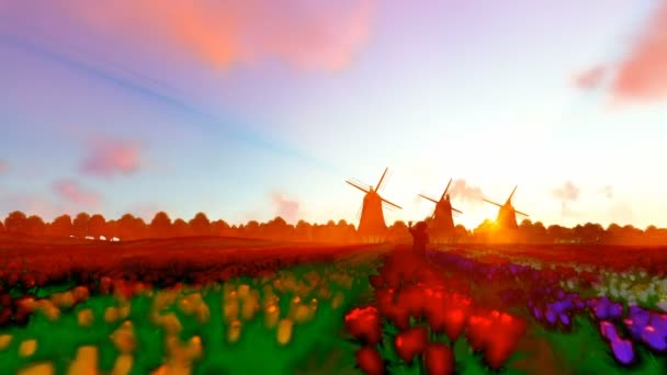 Holländska väderkvarnar och underordnad som körs på ett fält med tulpaner mot vacker solnedgång, tecknad stil — Stockvideo