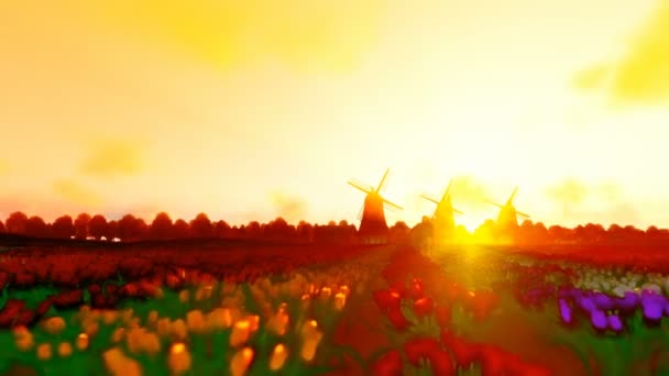 Molinos de viento holandeses y hombre librar la bicicleta en un campo con tulipanes contra hermosa puesta de sol, pastel estilo 4k — Vídeo de stock