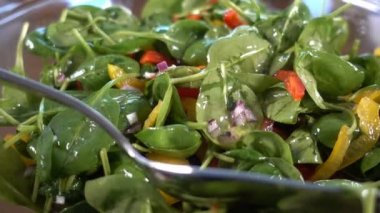 Ispanak salatası domates ve bell pepper, tuz ve zeytinyağı ile baharat, Yakınlaştır