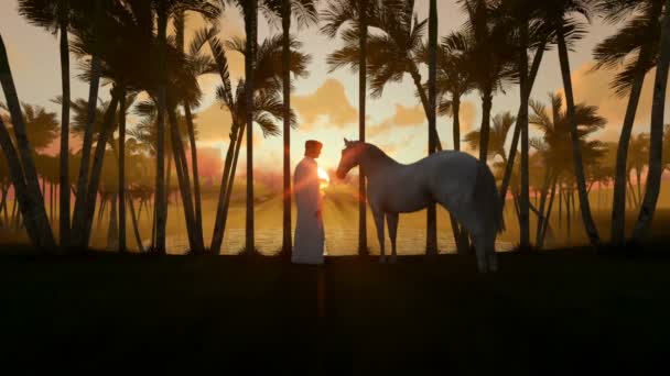 Arabische man met paard op oase in de woestijn met water vijver en palm bomen bij zonsondergang — Stockvideo