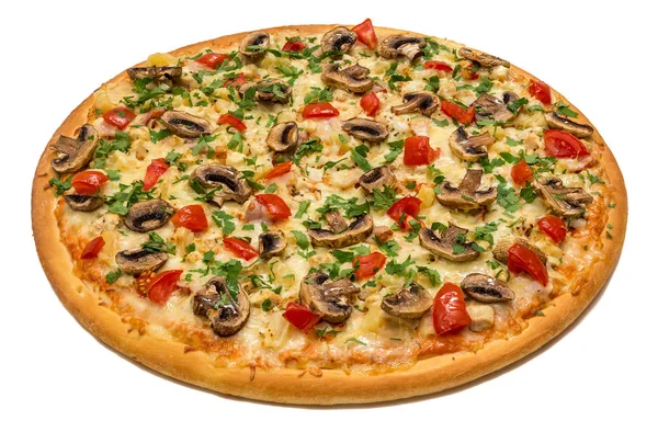 Pizza pronta para comer — Fotografia de Stock