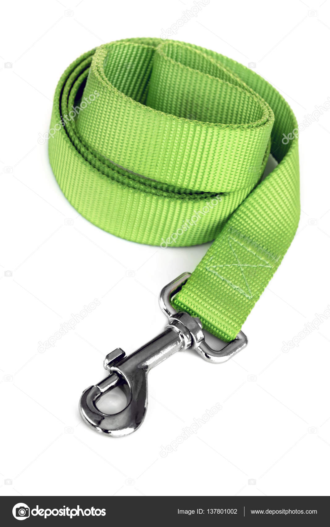 Green Dog Leash Isolated on White — Stock Photo © robynmac 137801002