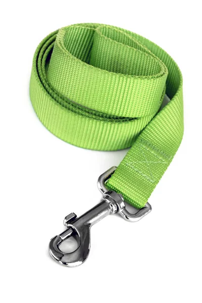 Green Dog Leash Isolated on White — Stock Photo, Image