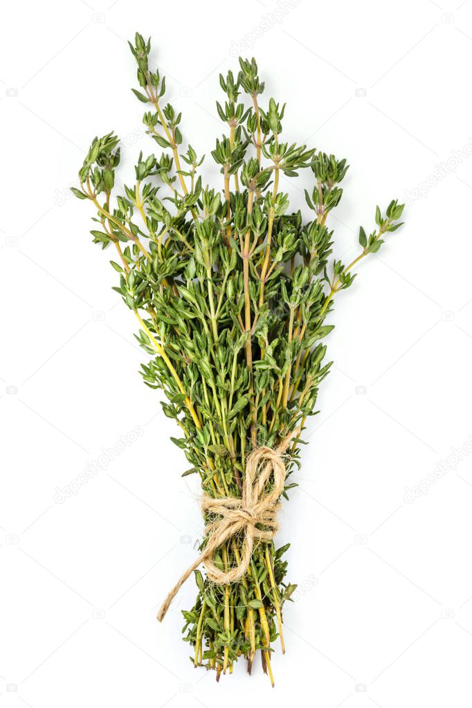 Bunch of Thyme Isolated on White