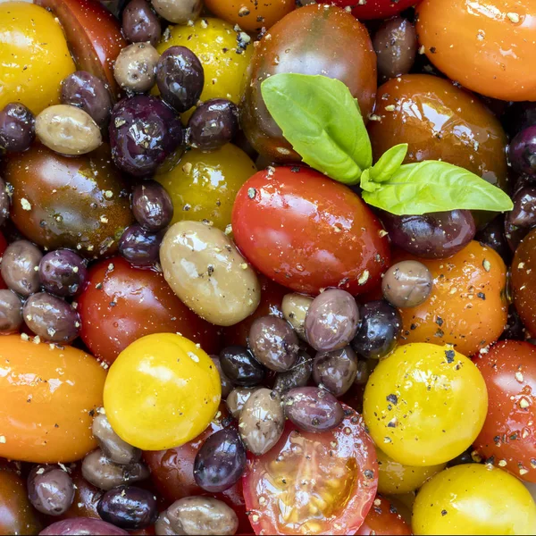 Salada de tomate e azeitona com manjericão — Fotografia de Stock