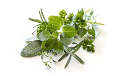 Otlar üzerinde beyaz arkadan aydınlatmalı izole