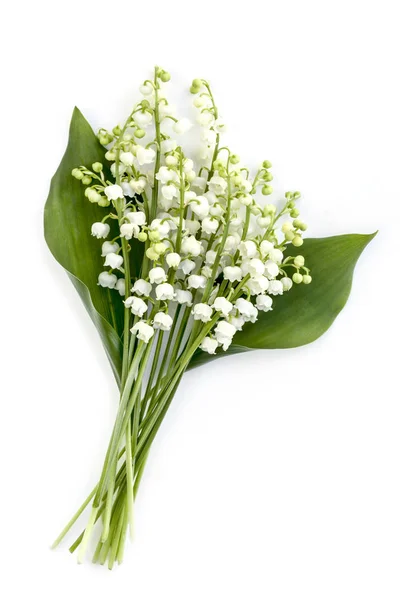 Liljekonvalj isolerad på vit — Stockfoto