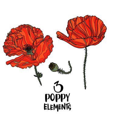 Haşhaş çiçek tasarım öğeleri.