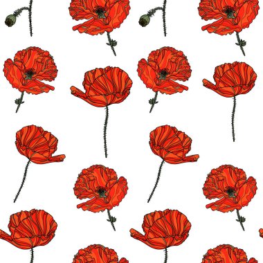 haşhaş çiçekleri ile sorunsuz çiçek desenli.