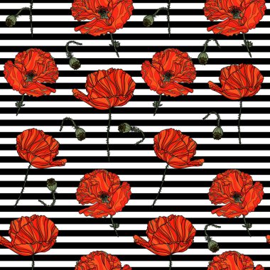 Haşhaş çiçek ve şeritler ile Seamless Modeli.