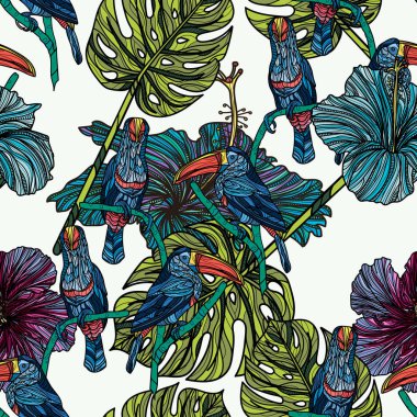 Toucans ile Seamless Modeli.