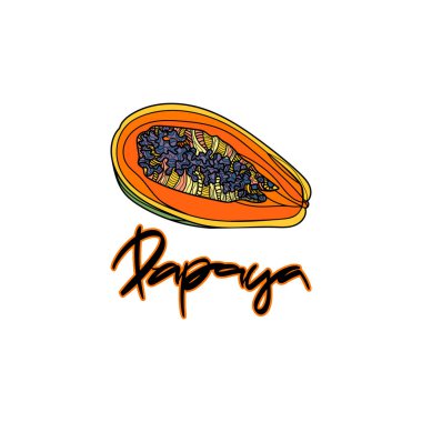 Papaya vektör çizim.