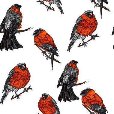 Bullfinches dallar ile Seamless Modeli.