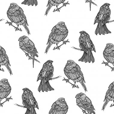 Bullfinches ile Dikişsiz tek renkli desen.