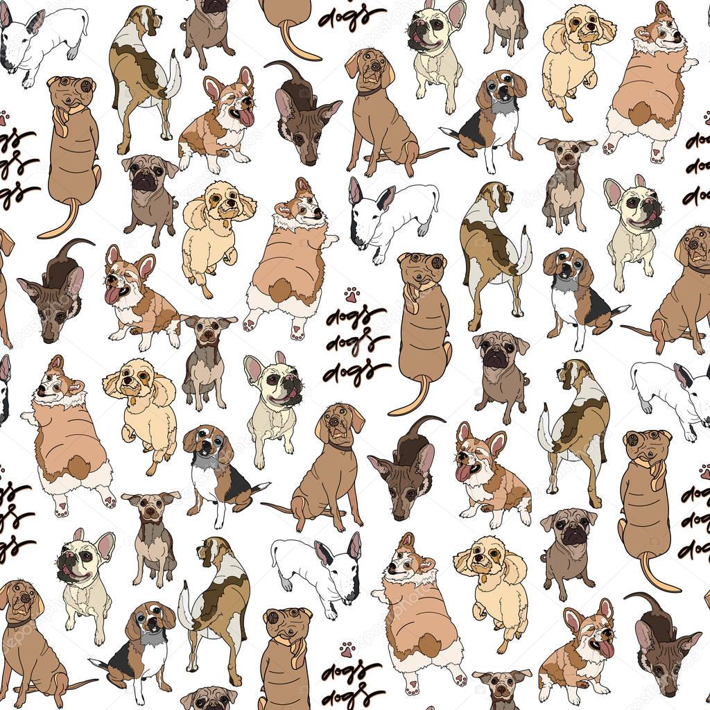 Seamless pattern with different dogs breed.